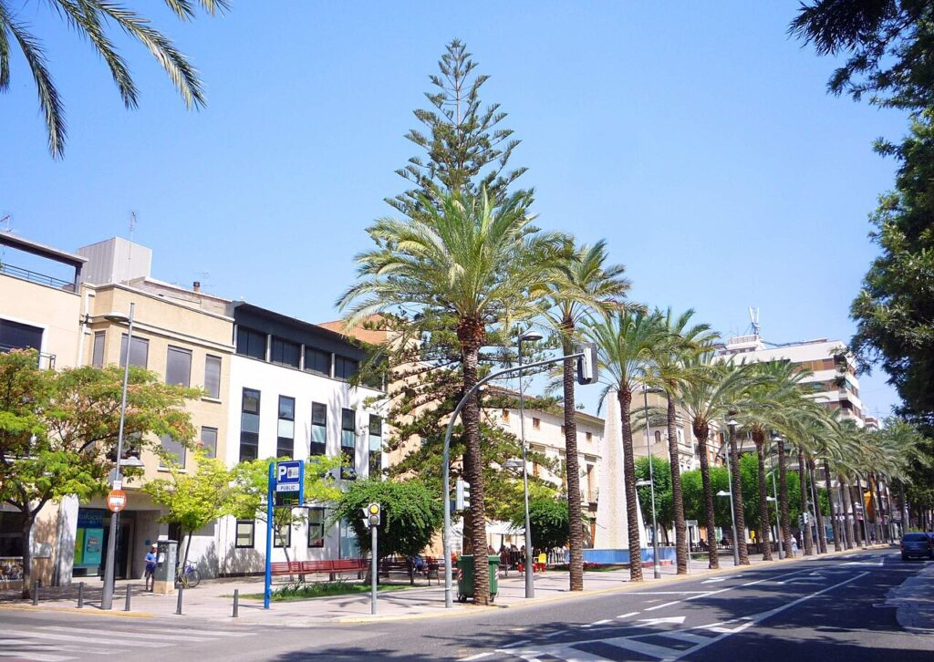 Catarroja: Albufera Port, Boat Trips and the C-1 Train to Valencia