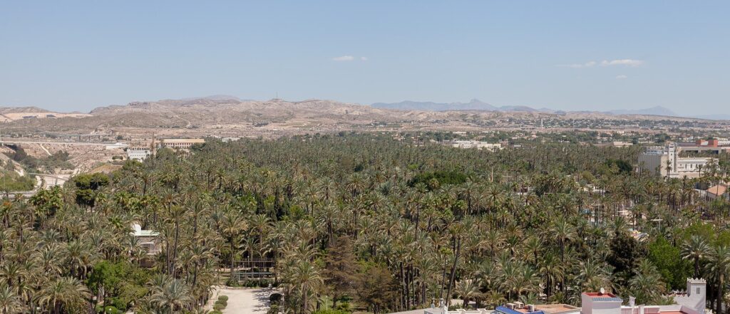 Elche: Palm Groves, Shoes & the Misteri