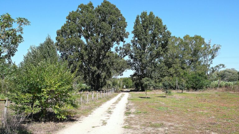 Tordera
