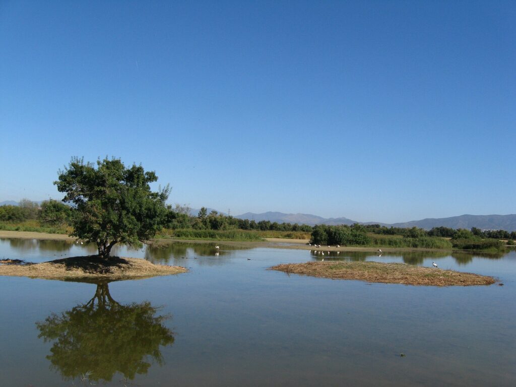 Aiguamolls de l'Empordà Natural Park, Castelló d'Empúries, Spain