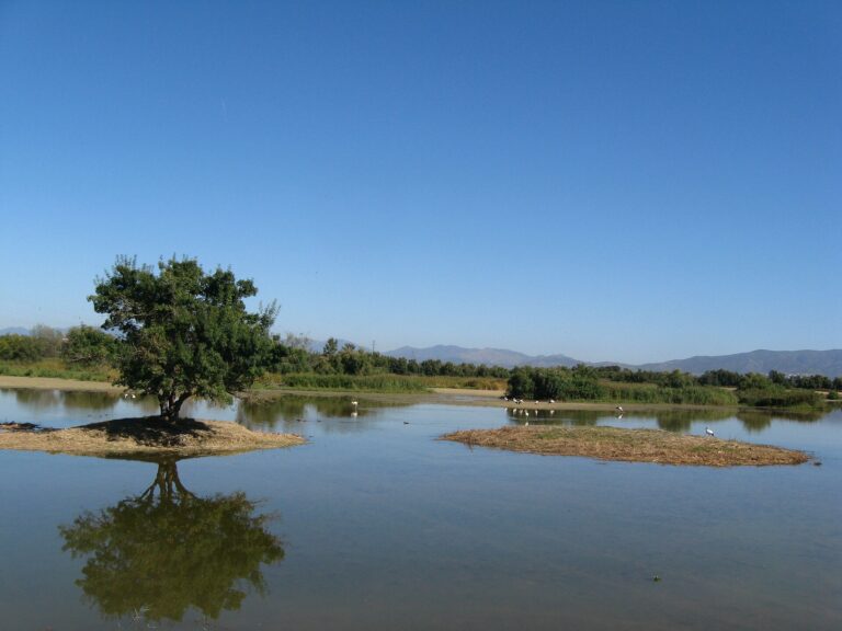 Aiguamolls de l’Empordà Natural Park