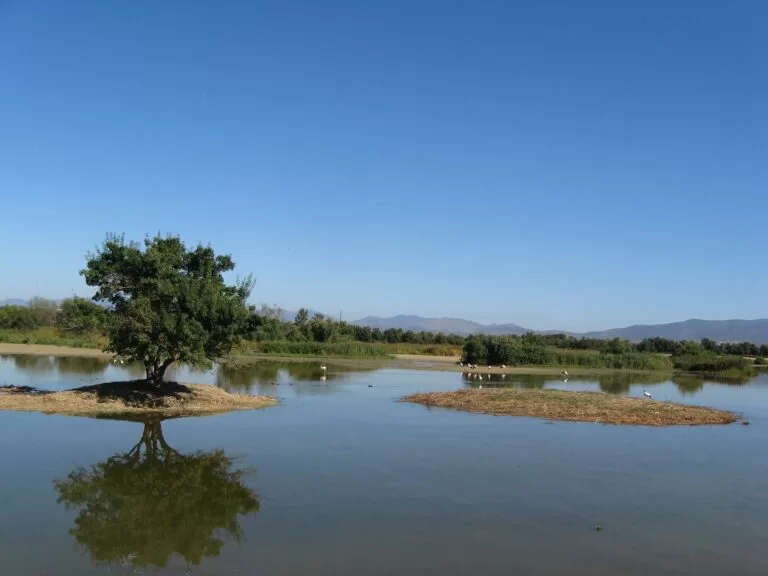 Aiguamolls de l’Empordà Natural Park