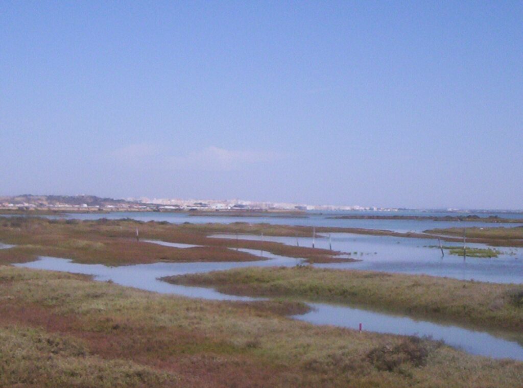 Bahía de Cádiz Natural Park, Cádiz, Spain