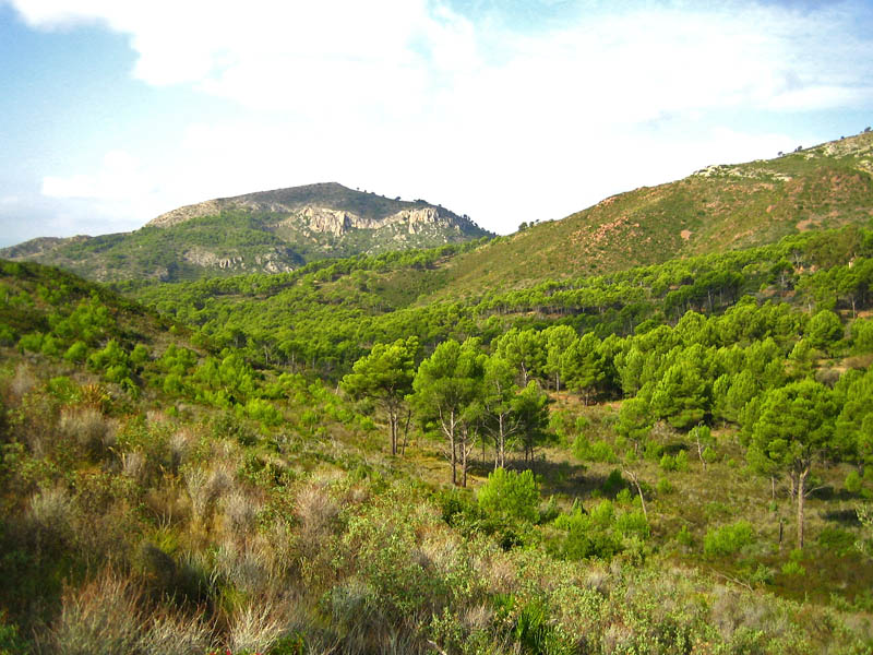 Desert de les Palmes Natural Park, Benicàssim, Spain