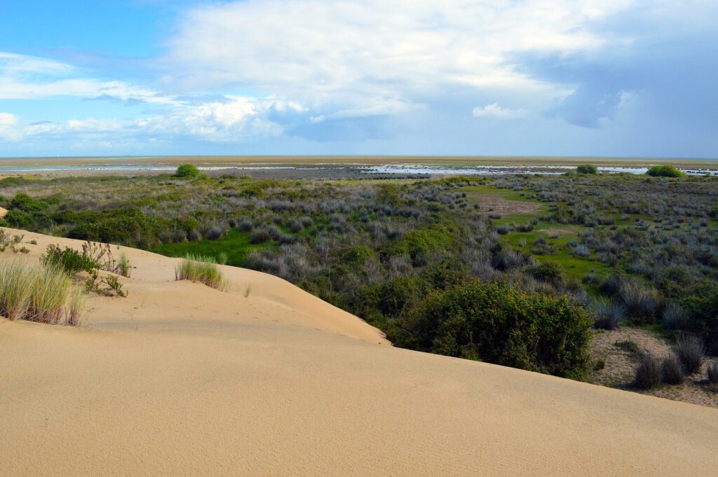 Doñana National Park, Huelva, Spain