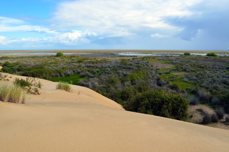Doñana National Park