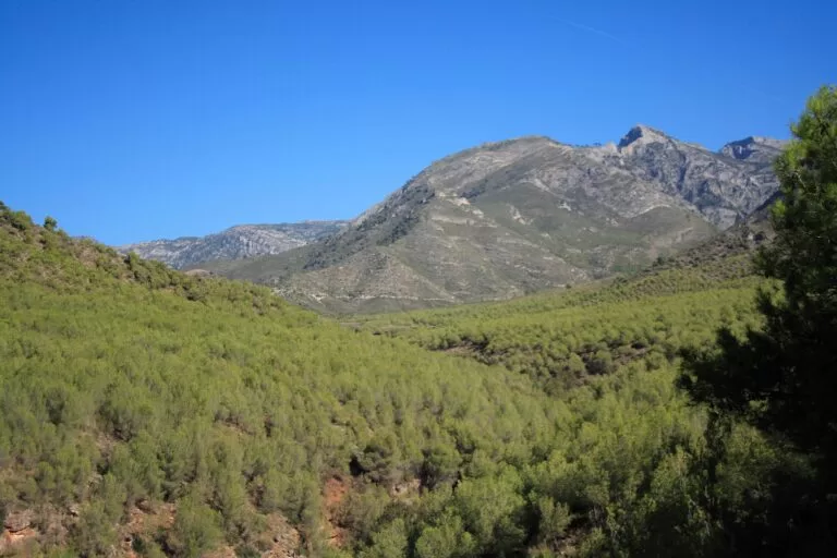 Sierras of Tejeda, Almijara and Alhama Natural Park