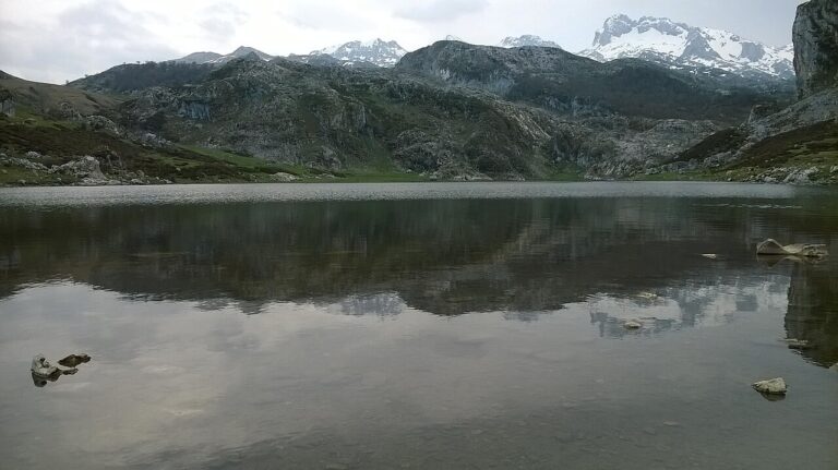 Picos de Europa