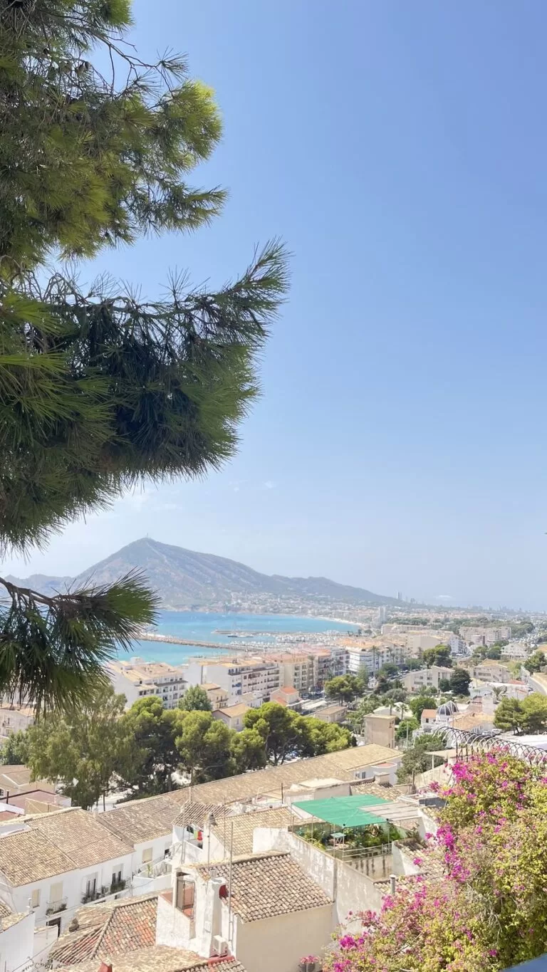 The bay of Altea and its marina seen through pine branches from the old town, with mountains and Benidorm beyond
