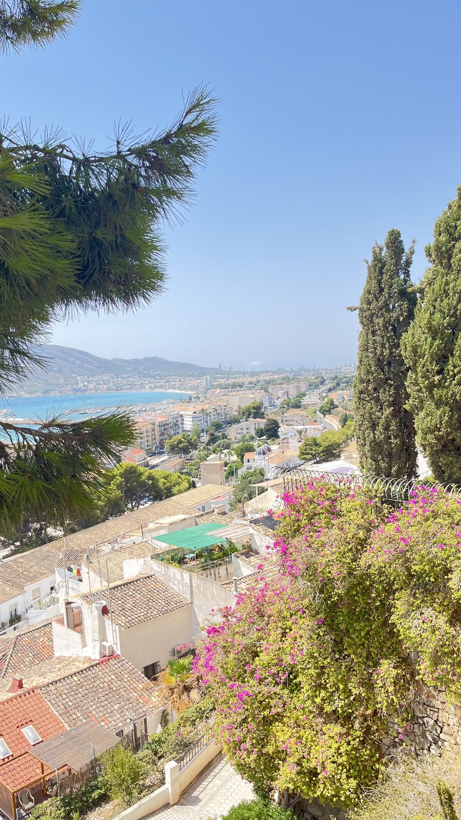 Bougainvillea in flower at an Altea old town viewpoint, above rooftops and the bay