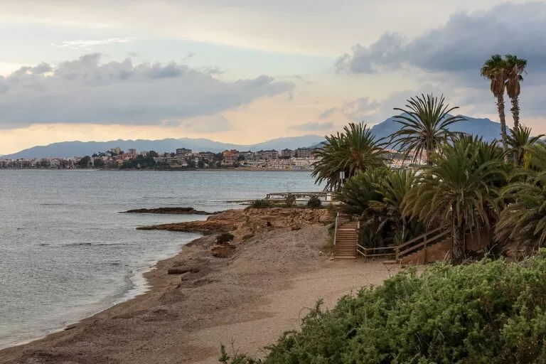 Palm trees above the small beach of La Raja in Puerto de Mazarrón