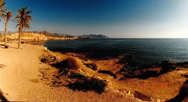 Palm trees and golden rocks on a beach in Puerto de Mazarrón at sunset
