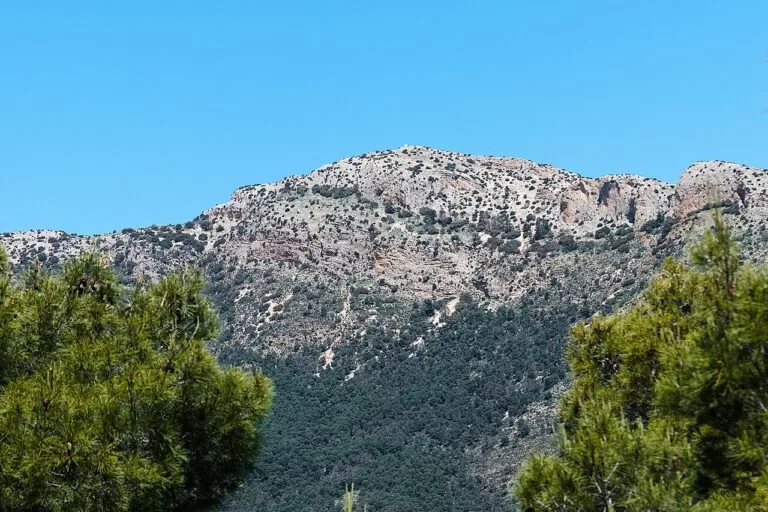 Pine-covered slopes and peaks of the Sierra Espuña from the Mirador del Avión