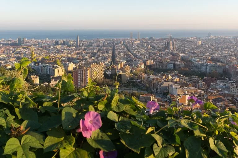 Panoramic view over Barcelona from the Bunkers del Carmel