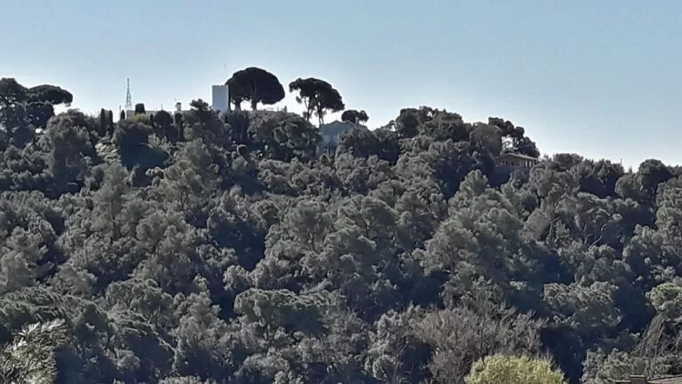 Wooded hills of the Serra de Collserola natural park