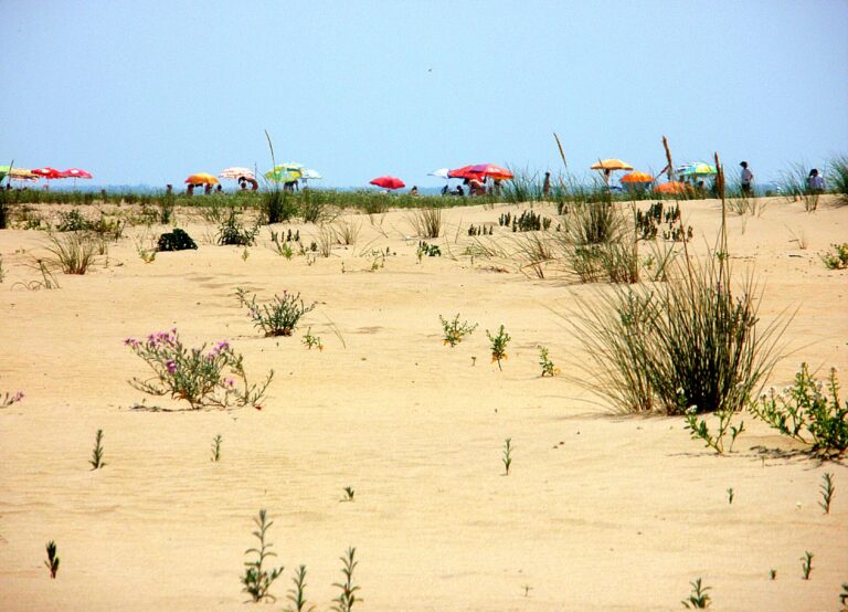 Playa de la Bota