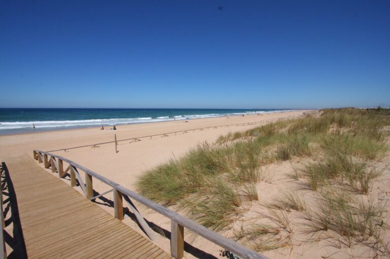 Playa El Palmar