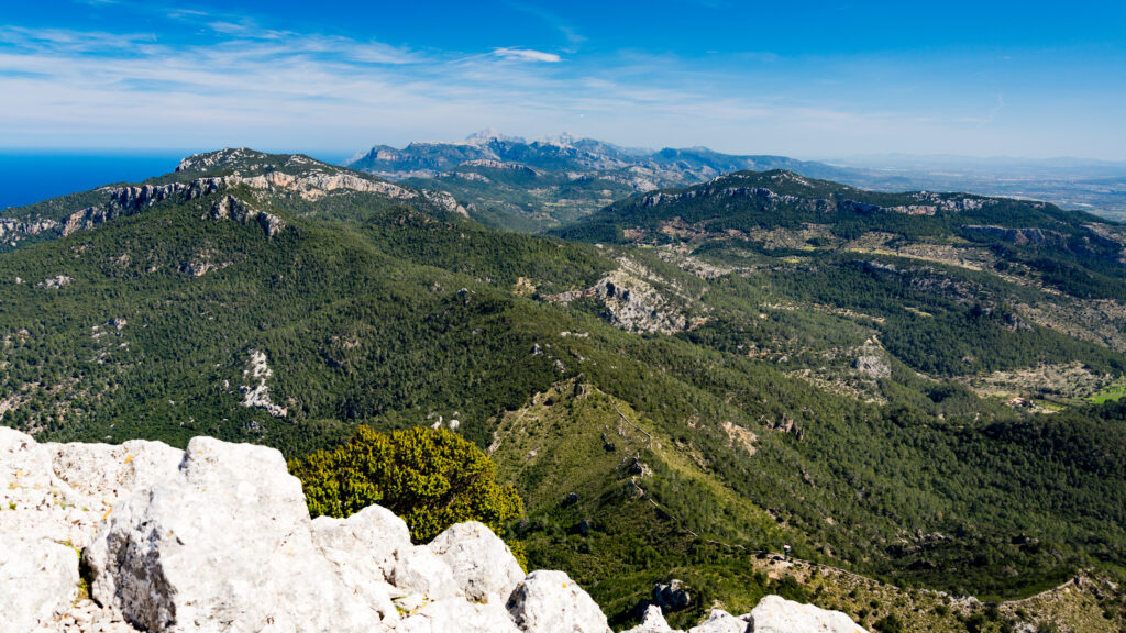 View from a rocky summit along the forested ridges and limestone peaks of the Serra de Tramuntana mountain range in Mallorca, with the sea on the left and clear blue sky above.