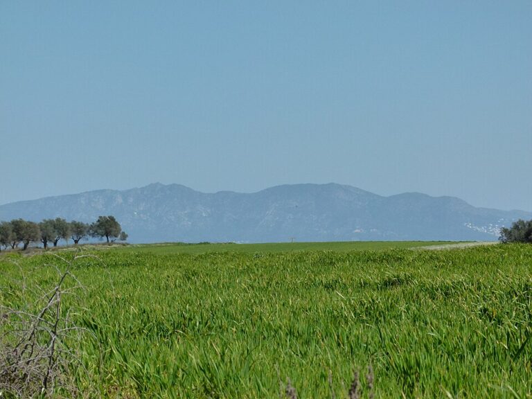Agricola Siurana