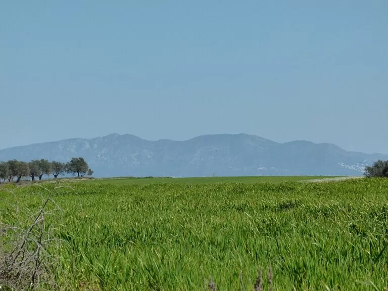 Agricola Siurana