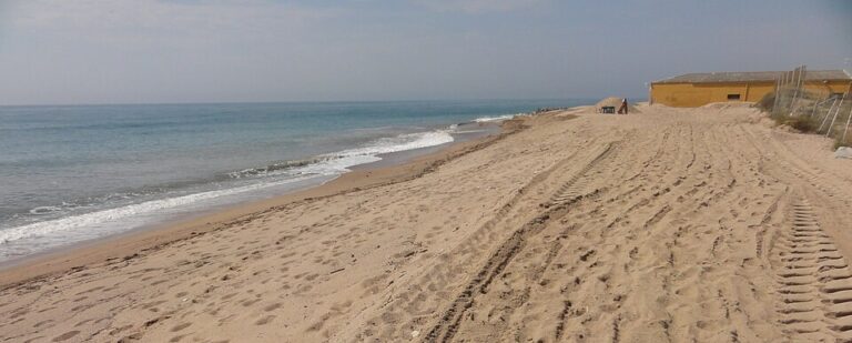 Alannia El Pinar