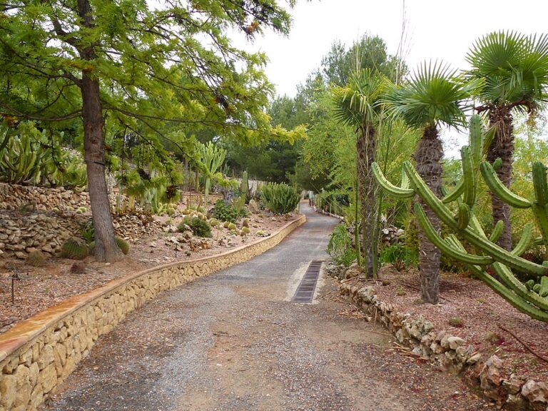 Camping Fonts de l’Algar