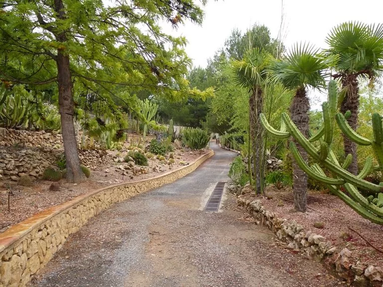 Camping Fonts de l’Algar