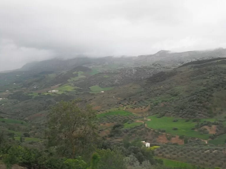 Finca Colores