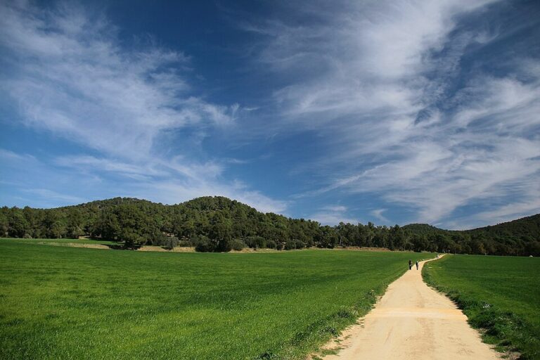 HolaCamp Palamós