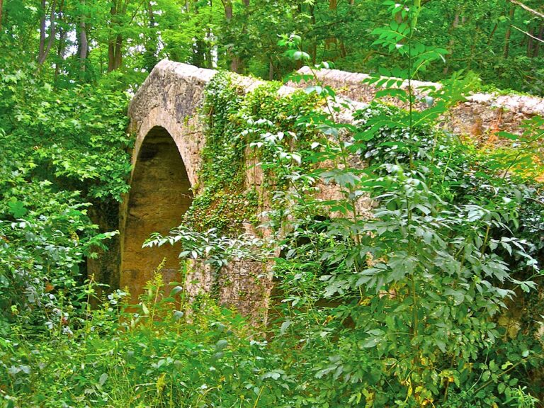 HolaCamp Vall Natura