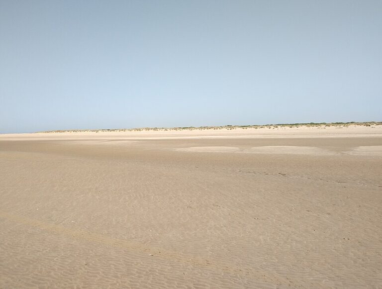 Sanlúcar AC Parking
